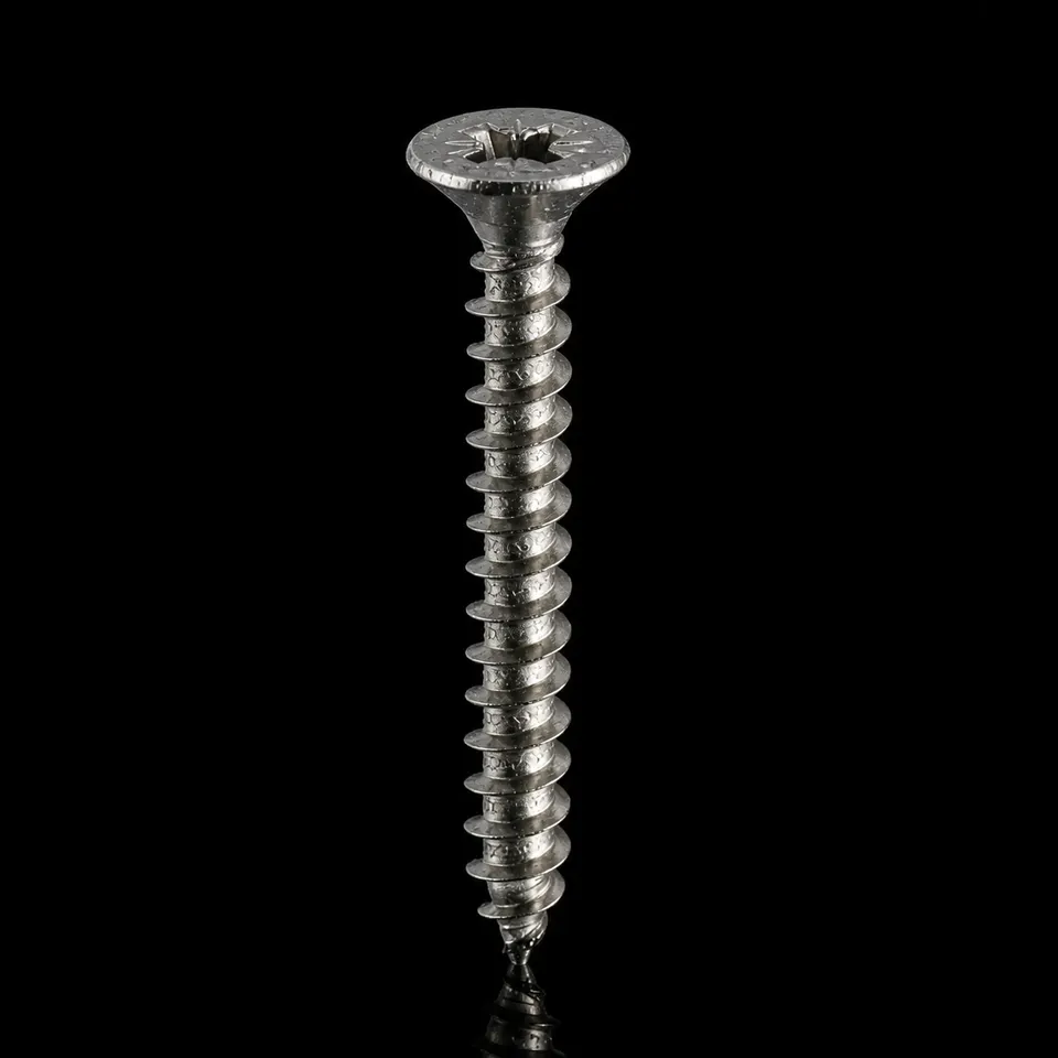 INOX Sunta Vidası