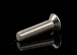 INOX Yıldız Mercimek Başlı Metrik Vida